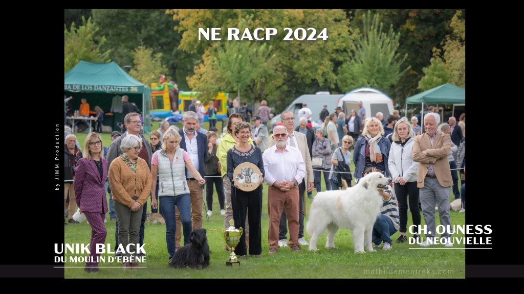 Nationale d?élevage 2024 